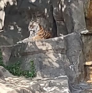 Meet your Posher, Victor